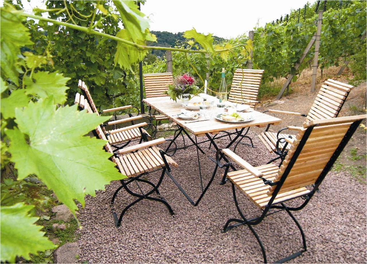 Ferienwohnung Weingut Mariaberg Meißen Exterior foto
